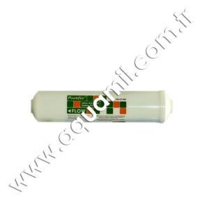 10” Inline Coconat Post Karbon Filtre